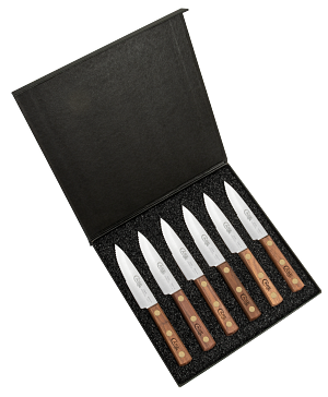 11078     W.R. Case  Six Piece Steak Knife Set